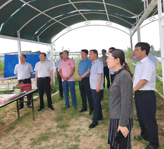 &#24320;&#20113;&#32593;&#39029;&#29256;&#95;&#24320;&#20113;&#40;&#20013;&#22269;&#41;&#23448;&#26041;